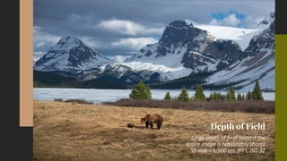 Basics of Photography Lessons - DEPTH OF FIELD | PDF