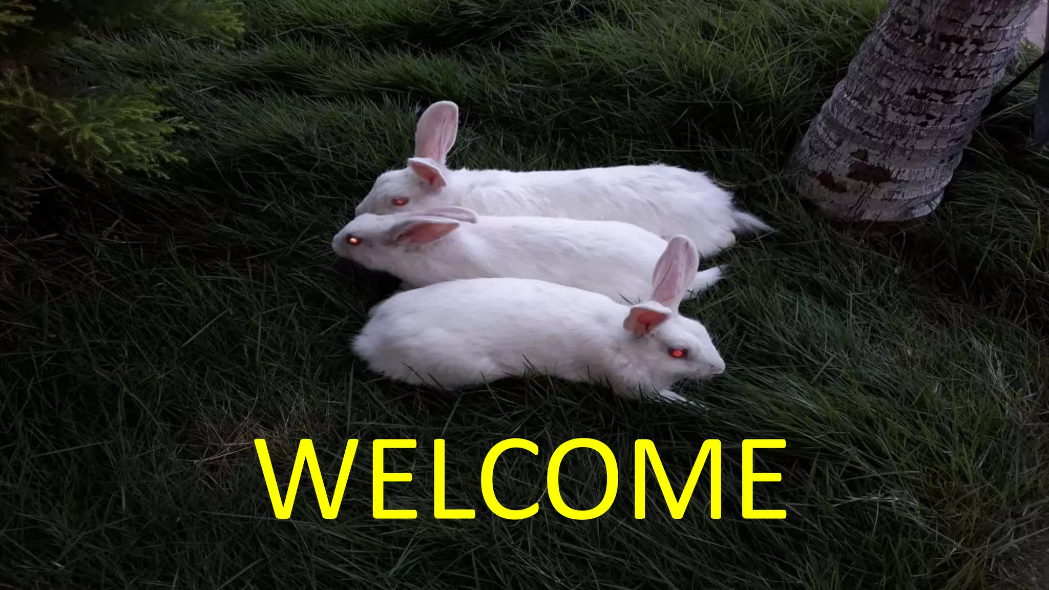 8/8/2023 2:21:01 AM Ravinandan A P, Asst .Professor 1
WELCOME
 