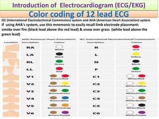Fundamentals of ECG -Introduction | PPSX