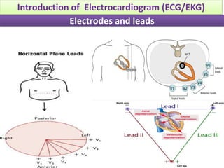 Electrodes and leads
Introduction of Electrocardiogram (ECG/EKG)
 