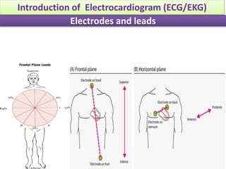 Electrodes and leads
Introduction of Electrocardiogram (ECG/EKG)
 