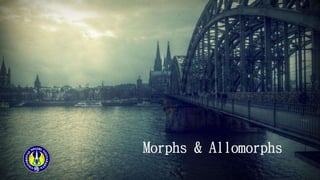 Morphs & Allomorphs
 