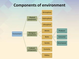 Components of environment
Environment
Physical
component.
Atmosphere
Hydrosphere
Lithosphere
Biological
component.
Abiotic
Biotic
Producer
Consumer
Decomposer
Cultural
component.
Society
Economy
Politics
 