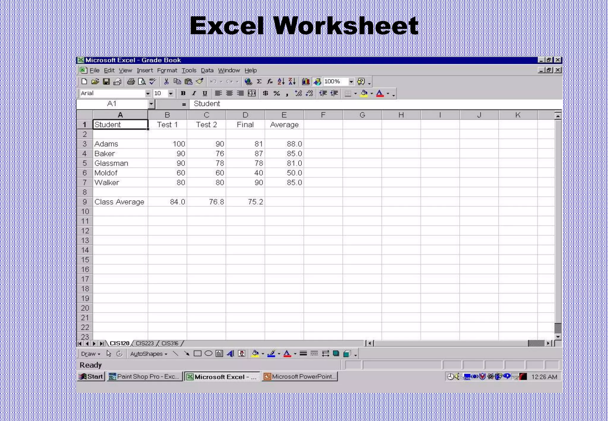 Excel Worksheet
 