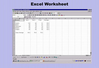 Excel Worksheet
 