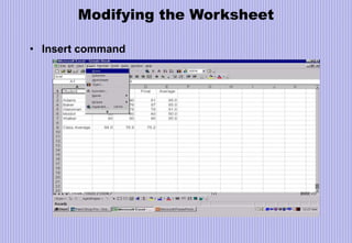 Modifying the Worksheet
• Insert command
 