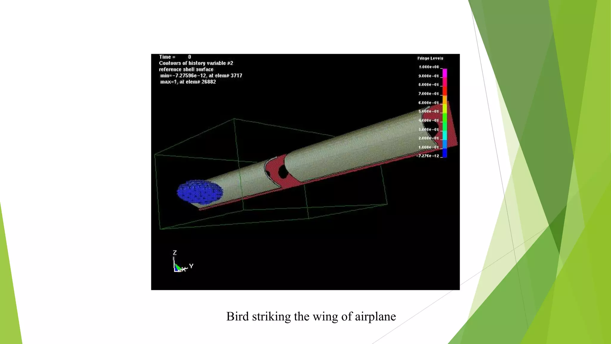 Bird striking the wing of airplane
 