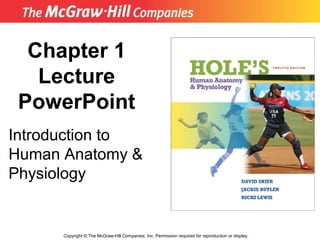 Copyright © The McGraw-Hill Companies, Inc. Permission required for reproduction or display.
Chapter 1
Lecture
PowerPoint
Introduction to
Human Anatomy &
Physiology
 