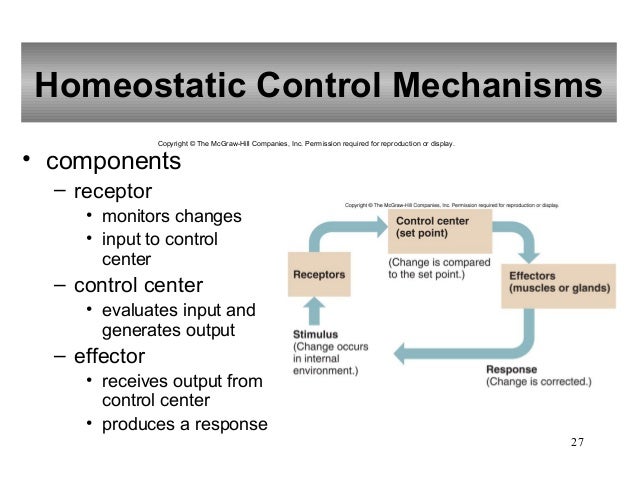 control mechanism Maglockscom is a certified manufacturer and distributor of card access control systems, electronic lock, electromagnetic lock, magnetic door locks, electric strikes, electronic door locks, delayed egress locks, electrified mortise locks, security access controls maglockscom is your online source for door access control systems. control mechanism Maglockscom is a certified manufacturer and distributor of card access control systems, electronic lock, electromagnetic lock, magnetic door locks, electric strikes, electronic door locks, delayed egress locks, electrified mortise locks, security access controls maglockscom is your online source for door access control systems.