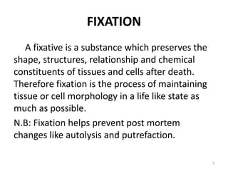 INTRODUCTION & FIXATION | PPTX