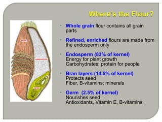 • Whole grain flour contains all grain
parts
• Refined, enriched flours are made from
the endosperm only
• Endosperm (83% of kernel)
Energy for plant growth
Carbohydrates; protein for people
• Bran layers (14.5% of kernel)
Protects seed
Fiber, B-vitamins; minerals
• Germ (2.5% of kernel)
Nourishes seed
Antioxidants, Vitamin E, B-vitamins
 
