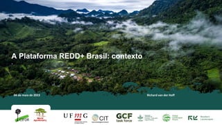 A Plataforma REDD+ Brasil: contexto
.
04 de maio de 2023 Richard van der Hoff
 