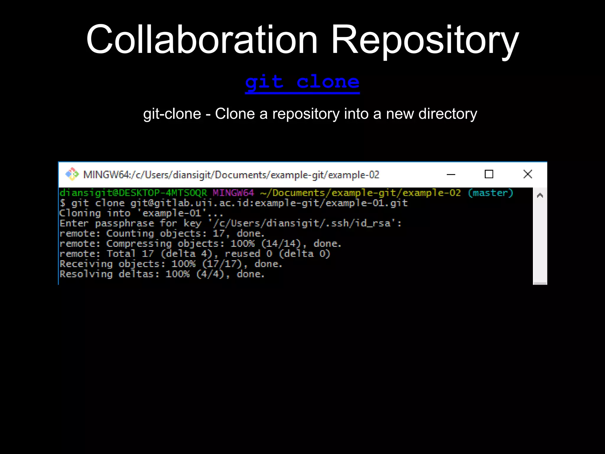 Collaboration Repository
git clone
git-clone - Clone a repository into a new directory
 