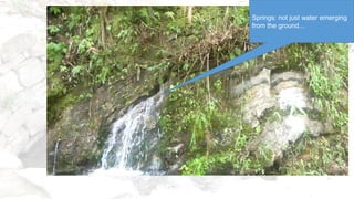 Springs: not just water emerging
from the ground…
 