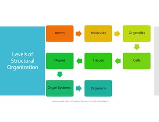 Levels of
Structural
Organization
Atoms Molecules Organelles
Cells
Tissues
Organs
Organ Systems Organism
PAWAN KUMAR SAHU LECTURER AT RUDAULI COLLEGE OF PHARMACY
 