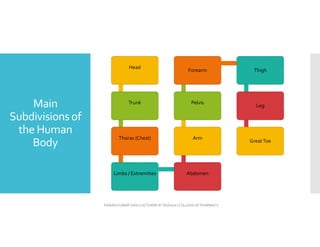 Main
Subdivisions of
the Human
Body
PAWAN KUMAR SAHU LECTURER AT RUDAULI COLLEGE OF PHARMACY
Head
Trunk
Thorax (Chest)
Limbs / Extremities Abdomen
Arm
Pelvis
Forearm Thigh
Leg
GreatToe
 