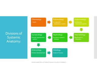 Divisions of
Systemic
Anatomy:
Odontology
• Teeth
Pulmonology
• Lungs and
respiratory system
Endocrinology
• Endocrine
(hormone) glands
Haematology
Blood and its
disorders
Nephrology
Excretory system /
kidneys
Gynaecology
Female reproductive
system
Embryology
Embryo development
Histology
Study of tissues
PAWAN KUMAR SAHU LECTURER AT RUDAULI COLLEGE OF PHARMACY
 
