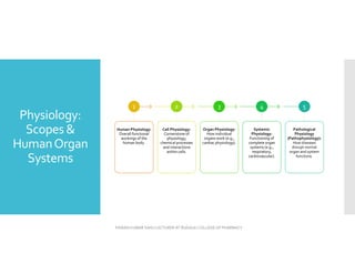 Physiology:
Scopes &
HumanOrgan
Systems
Human Physiology:
Overall functional
workings of the
human body.
1
Human Physiology:
Overall functional
workings of the
human body.
Cell Physiology:
Cornerstone of
physiology;
chemical processes
and interactions
within cells.
2
Cell Physiology:
Cornerstone of
physiology;
chemical processes
and interactions
within cells.
Organ Physiology:
How individual
organs work (e.g.,
cardiac physiology).
3
Organ Physiology:
How individual
organs work (e.g.,
cardiac physiology).
Systemic
Physiology:
Functioning of
complete organ
systems (e.g.,
respiratory,
cardiovascular).
4
Systemic
Physiology:
Functioning of
complete organ
systems (e.g.,
respiratory,
cardiovascular).
5
Pathological
Physiology
(Pathophysiology):
How diseases
disrupt normal
organ and system
functions.
PAWAN KUMAR SAHU LECTURER AT RUDAULI COLLEGE OF PHARMACY
 