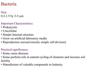 Bacteria
Size:
0.2-1.5 by 3-5 µm
Important Characteristics:
• Prokaryotic
• Unicellular
• Simple Internal structure
• Grow on artificial laboratory media
• Reproduction asexual (mostly simple cell division)
Practical significance:
• Some cause diseases
• Some perform role in natural cycling of elements and increase soil
fertility
• Manufacture of valuable compounds in Industry
 