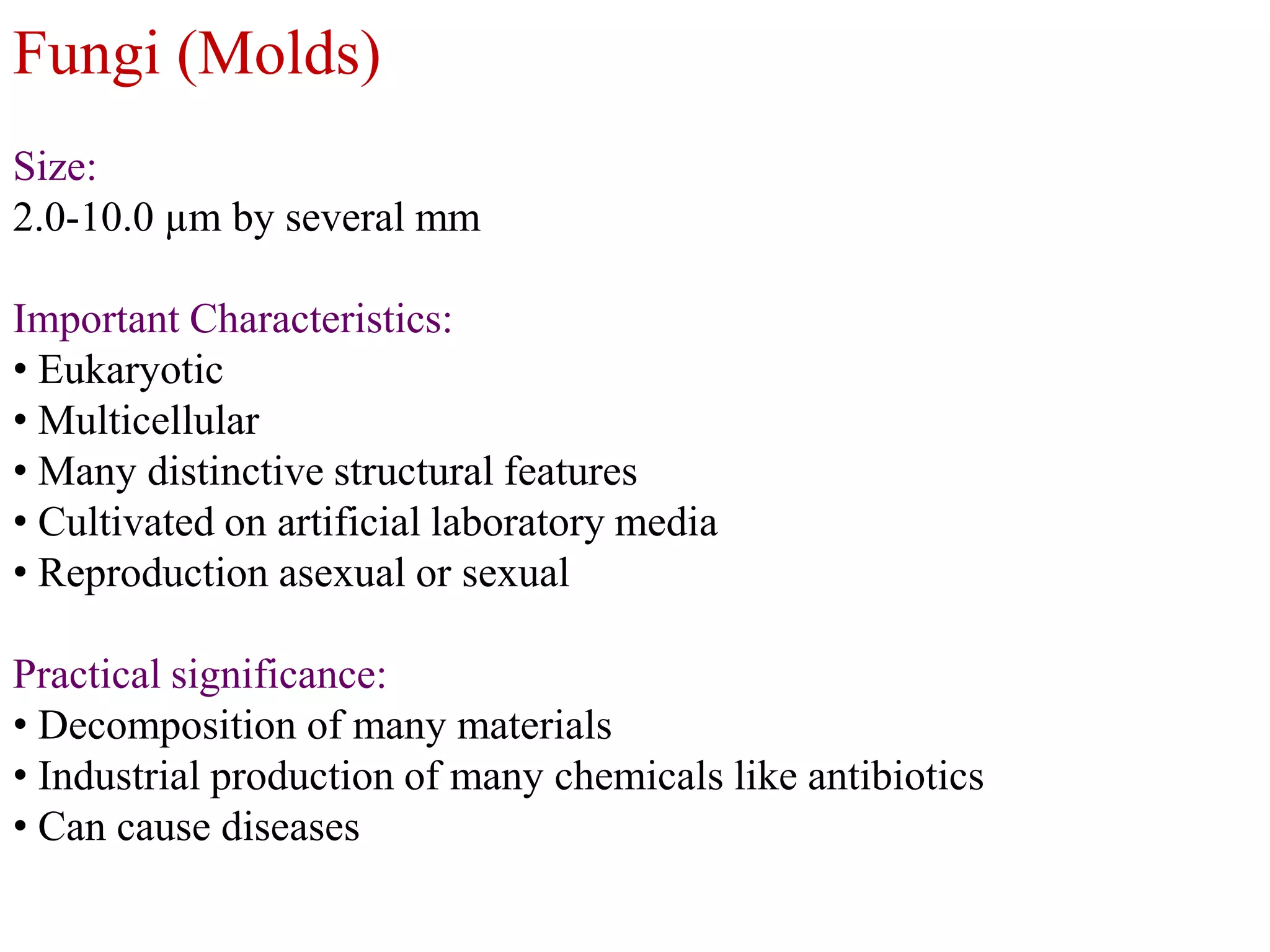 Fungi (Molds)
Size:
2.0-10.0 µm by several mm
Important Characteristics:
• Eukaryotic
• Multicellular
• Many distinctive structural features
• Cultivated on artificial laboratory media
• Reproduction asexual or sexual

Practical significance:
• Decomposition of many materials
• Industrial production of many chemicals like antibiotics
• Can cause diseases

 