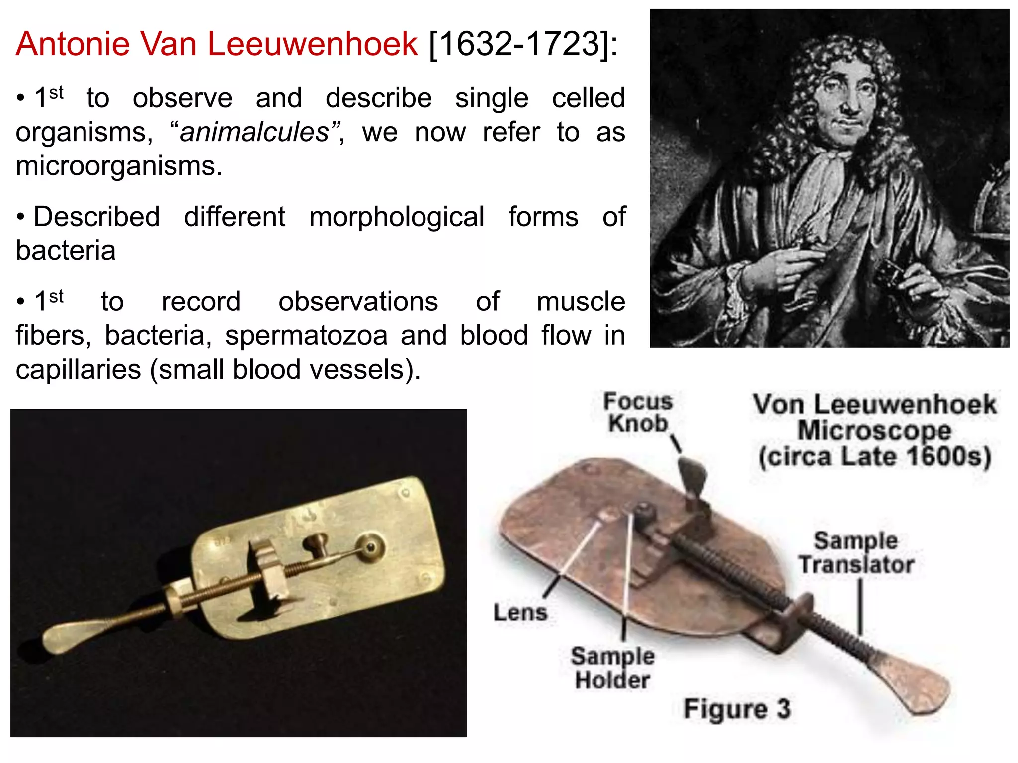 Antonie Van Leeuwenhoek [1632-1723]:
• 1st to observe and describe single celled
organisms, “animalcules”, we now refer to as
microorganisms.
• Described different morphological forms of
bacteria
• 1st to record observations of muscle
fibers, bacteria, spermatozoa and blood flow in
capillaries (small blood vessels).

 