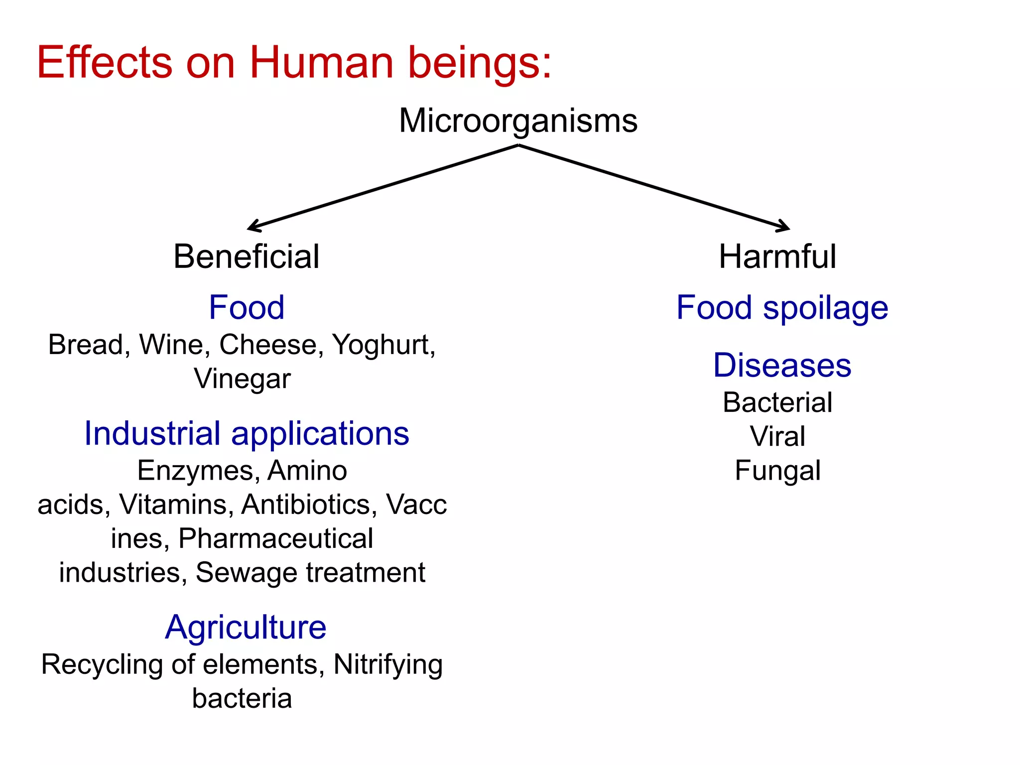 Effects on Human beings:
Microorganisms

Beneficial
Food

Harmful
Food spoilage

Bread, Wine, Cheese, Yoghurt,
Vinegar

Diseases

Industrial applications
Enzymes, Amino
acids, Vitamins, Antibiotics, Vacc
ines, Pharmaceutical
industries, Sewage treatment

Agriculture
Recycling of elements, Nitrifying
bacteria

Bacterial
Viral
Fungal

 