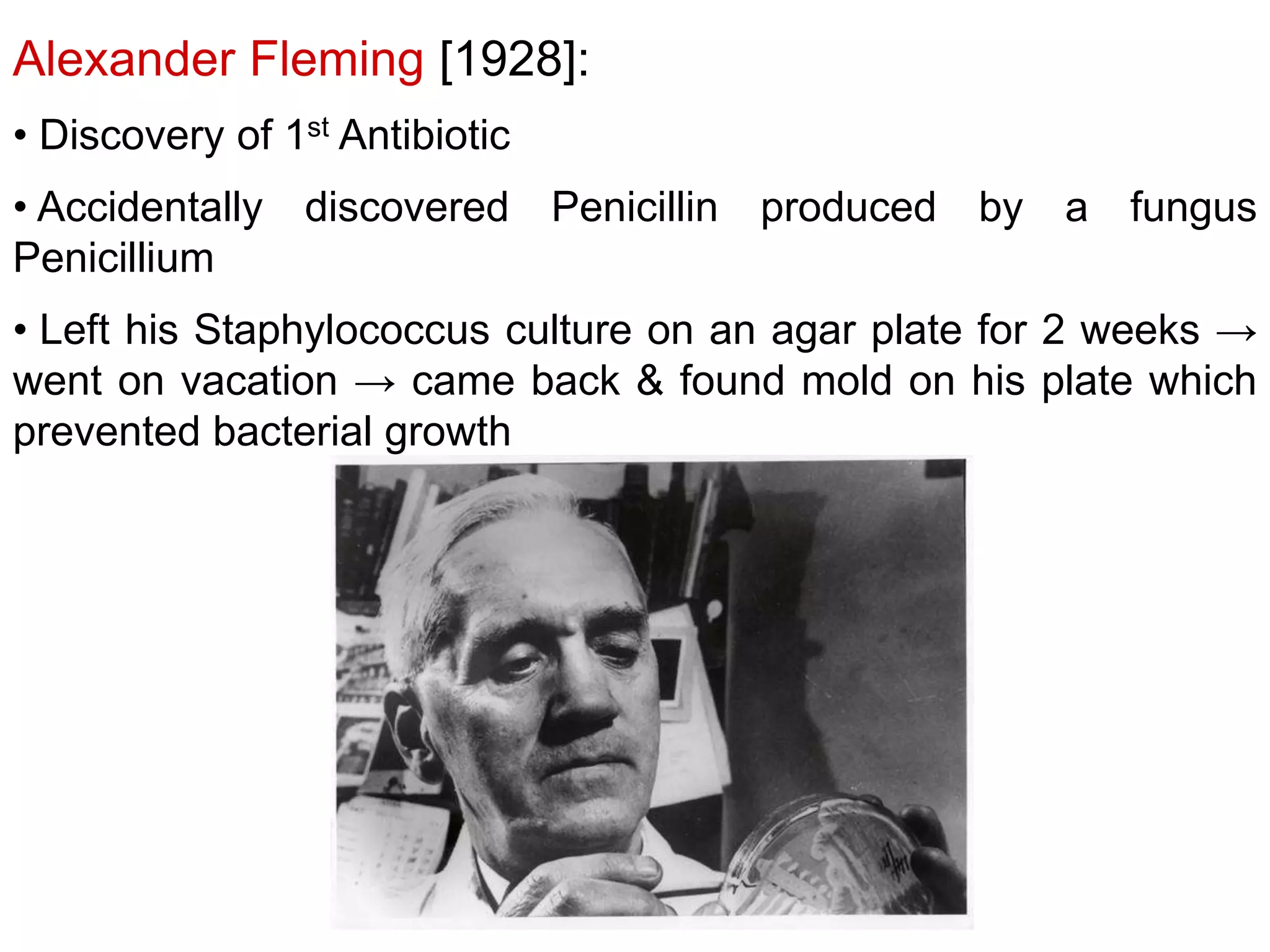 Alexander Fleming [1928]:
• Discovery of 1st Antibiotic
• Accidentally discovered Penicillin produced by a fungus
Penicillium

• Left his Staphylococcus culture on an agar plate for 2 weeks →
went on vacation → came back & found mold on his plate which
prevented bacterial growth

 