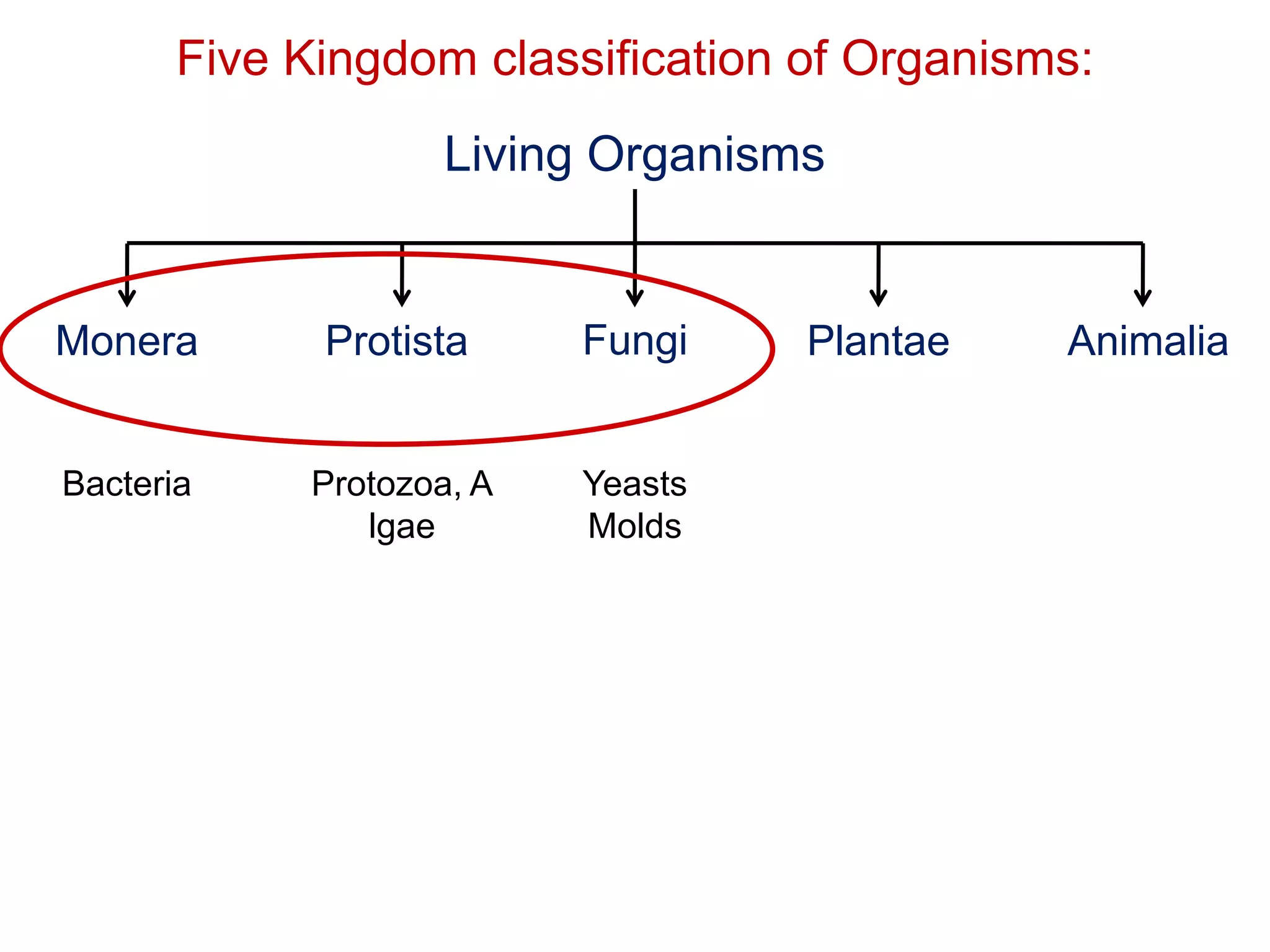 Five Kingdom classification of Organisms:
Living Organisms

Monera

Protista

Fungi

Bacteria

Protozoa, A
lgae

Yeasts
Molds

Plantae

Animalia

 