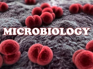 MICROBIOLOGY

 