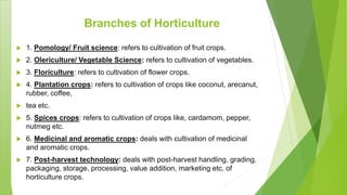 Branches of Horticulture
 1. Pomology/ Fruit science: refers to cultivation of fruit crops.
 2. Olericulture/ Vegetable Science: refers to cultivation of vegetables.
 3. Floriculture: refers to cultivation of flower crops.
 4. Plantation crops: refers to cultivation of crops like coconut, arecanut,
rubber, coffee,
 tea etc.
 5. Spices crops: refers to cultivation of crops like, cardamom, pepper,
nutmeg etc.
 6. Medicinal and aromatic crops: deals with cultivation of medicinal
and aromatic crops.
 7. Post-harvest technology: deals with post-harvest handling, grading,
packaging, storage, processing, value addition, marketing etc. of
horticulture crops.
 