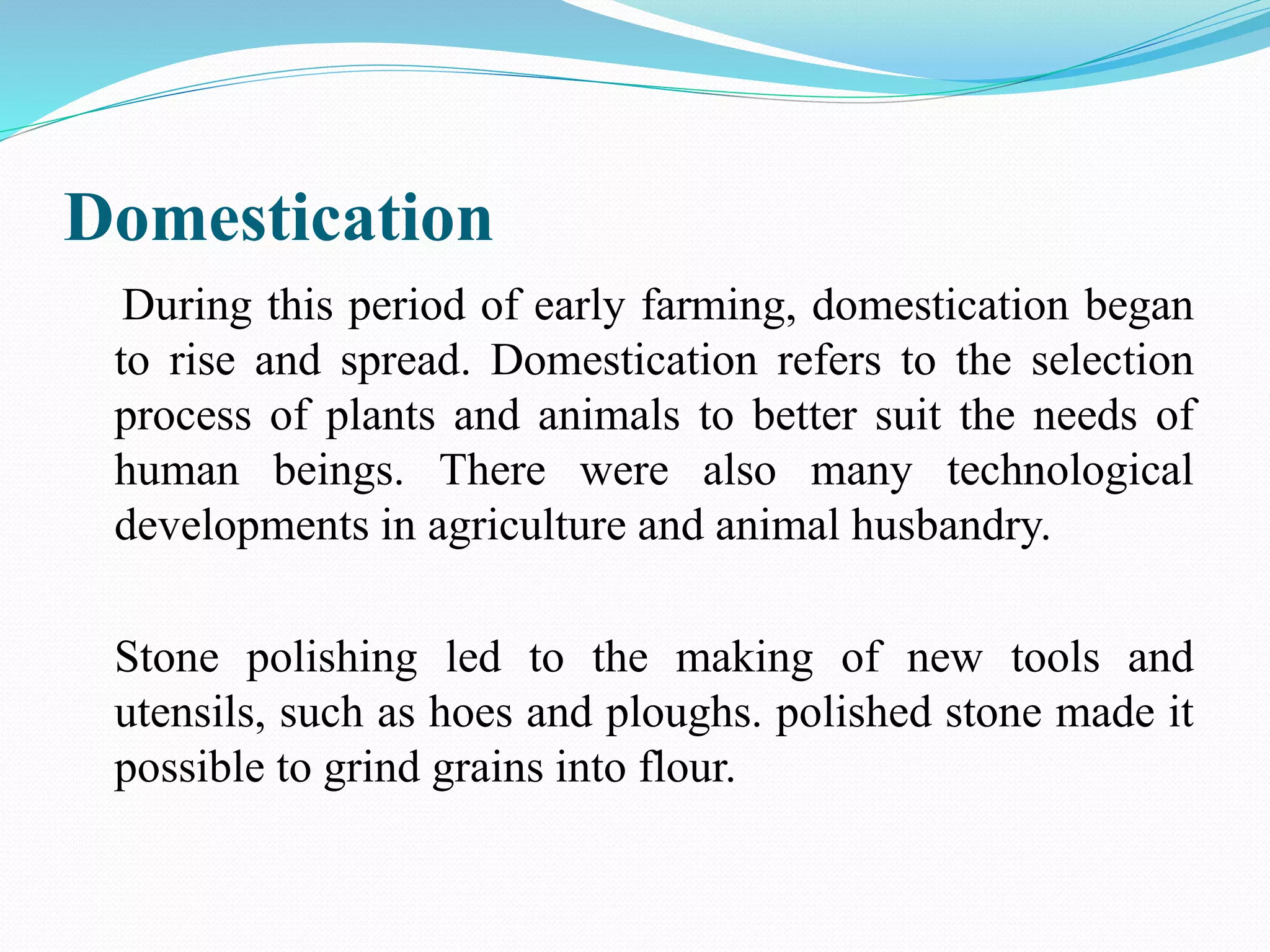 Domestication
During this period of early farming, domestication began
to rise and spread. Domestication refers to the selection
process of plants and animals to better suit the needs of
human beings. There were also many technological
developments in agriculture and animal husbandry.
Stone polishing led to the making of new tools and
utensils, such as hoes and ploughs. polished stone made it
possible to grind grains into flour.
 