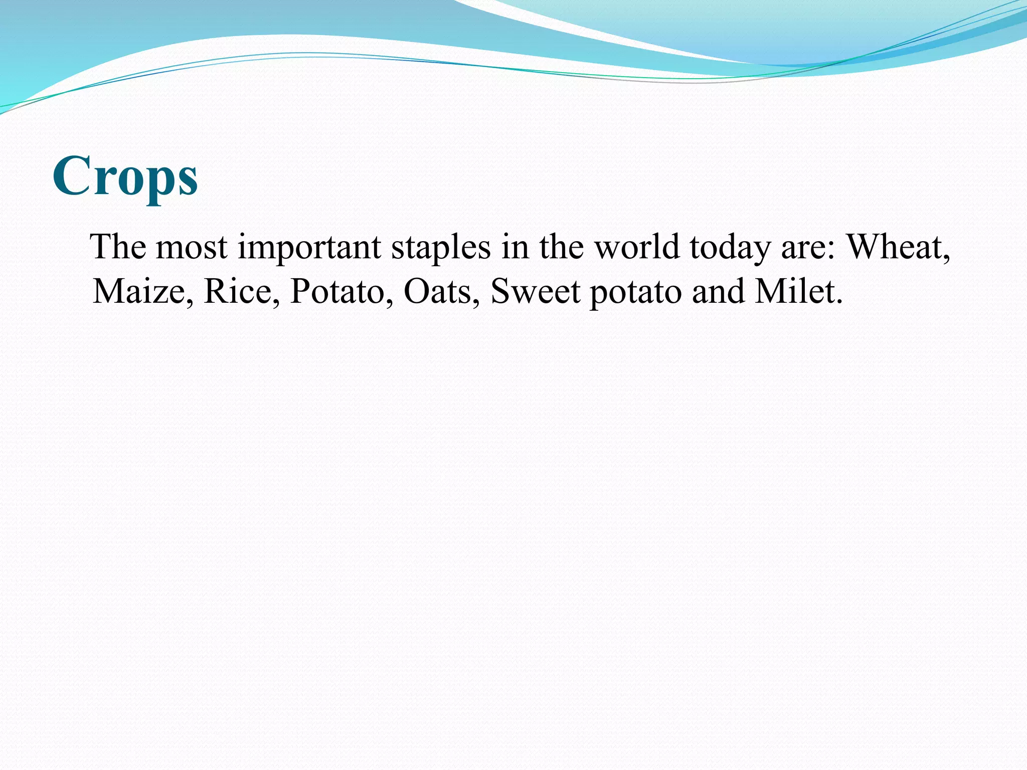 Crops
The most important staples in the world today are: Wheat,
Maize, Rice, Potato, Oats, Sweet potato and Milet.
 