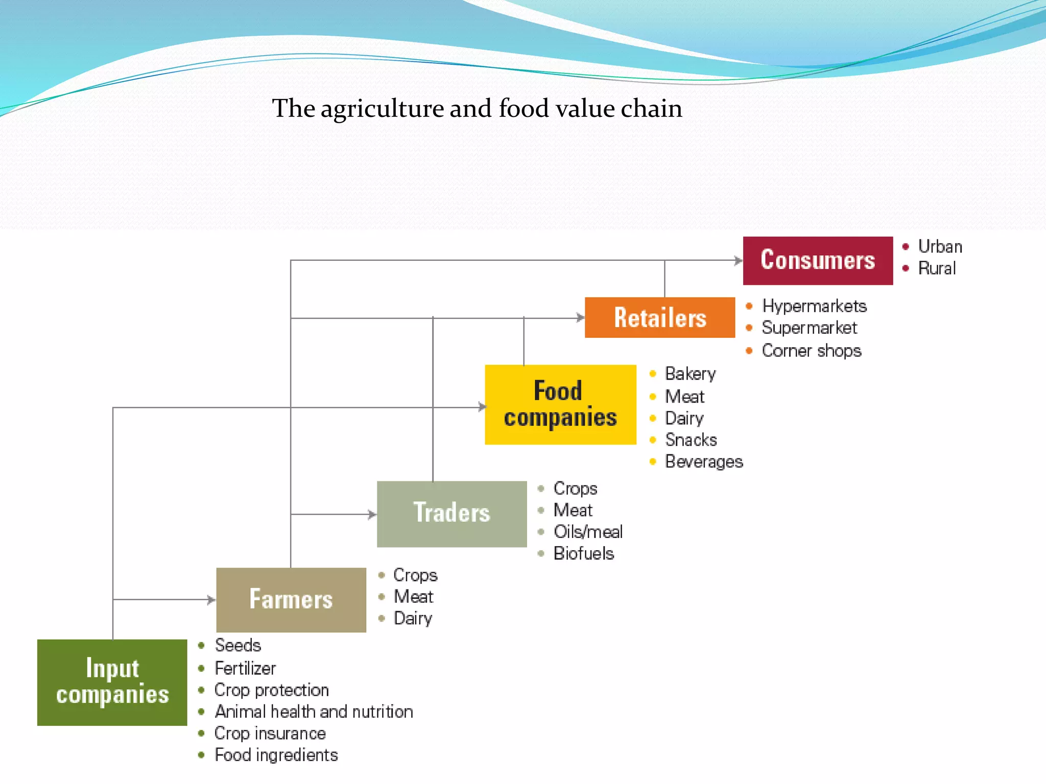 The agriculture and food value chain
 
