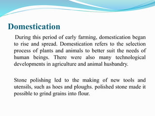 Domestication
During this period of early farming, domestication began
to rise and spread. Domestication refers to the selection
process of plants and animals to better suit the needs of
human beings. There were also many technological
developments in agriculture and animal husbandry.
Stone polishing led to the making of new tools and
utensils, such as hoes and ploughs. polished stone made it
possible to grind grains into flour.
 