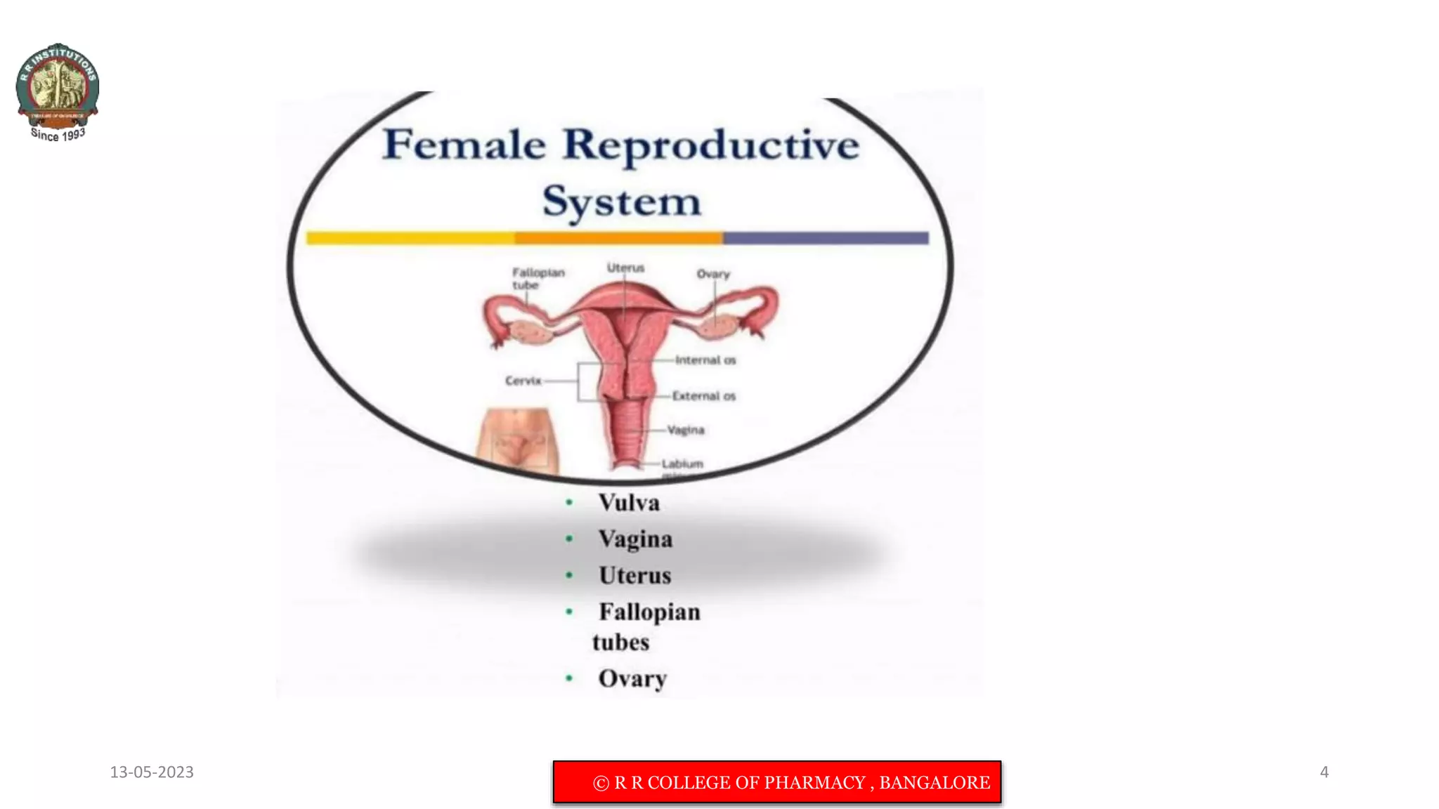 13-05-2023 © R R INSTITUTIONS , BANGALORE 4
© R R COLLEGE OF PHARMACY , BANGALORE
 