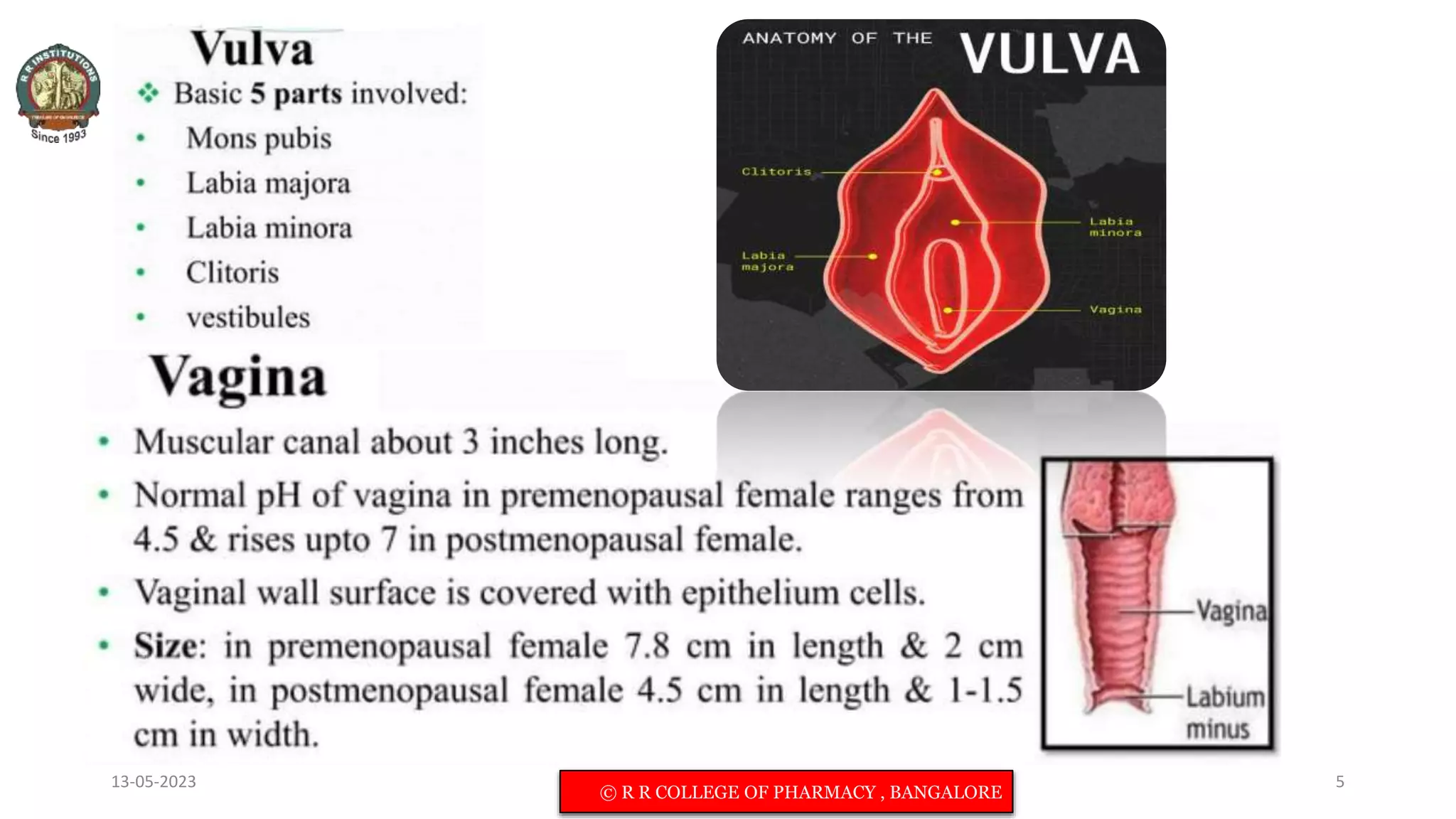 13-05-2023 © R R INSTITUTIONS , BANGALORE 5
© R R COLLEGE OF PHARMACY , BANGALORE
 