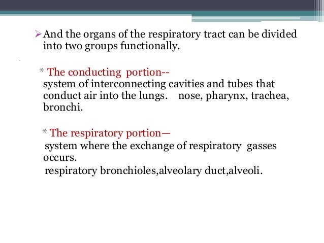 an introduction to the respiratory system Confused about the mcat not sure how to prepare this guide will show you how. an introduction to the respiratory system Confused about the mcat not sure how to prepare this guide will show you how.