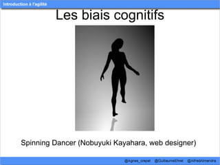 Les biais cognitifs




Spinning Dancer (Nobuyuki Kayahara, web designer)
 