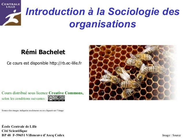 Introduction A La Sociologie Des Organisations Introduction A La Sociologie Des Organisations