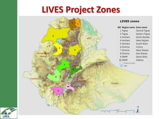 Introduction to Livestock and Irrigation Value chains for Ethiopian Smallholders (LIVES) project