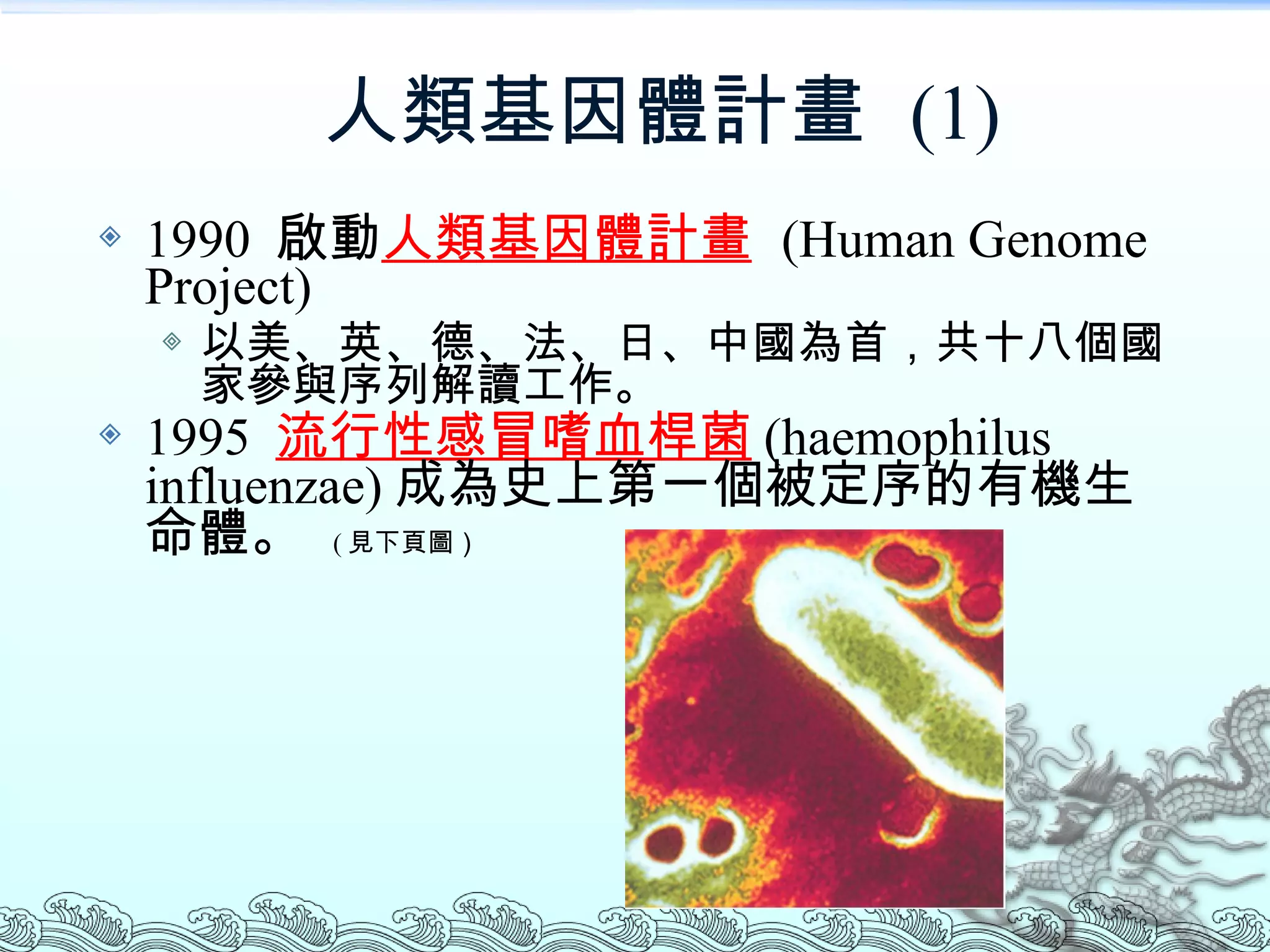 人類基因體計畫  (1) 1990  啟動 人類基因體計畫   (Human Genome Project) 以美、英、德、法、日、中國為首，共十八個國家參與序列解讀工作。 1995  流行性感冒嗜血桿菌 (haemophilus influenzae) 成為史上第一個被定序的有機生命體。  ( 見下頁圖） 