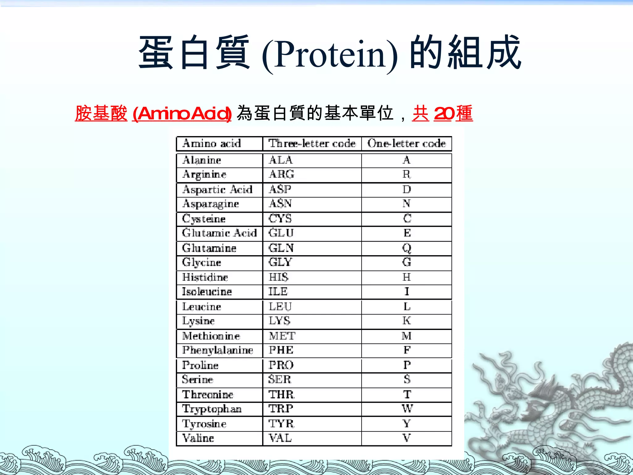 蛋白質 (Protein) 的組成 胺基酸 (Amino Acid) 為蛋白質的基本單位， 共 20 種 