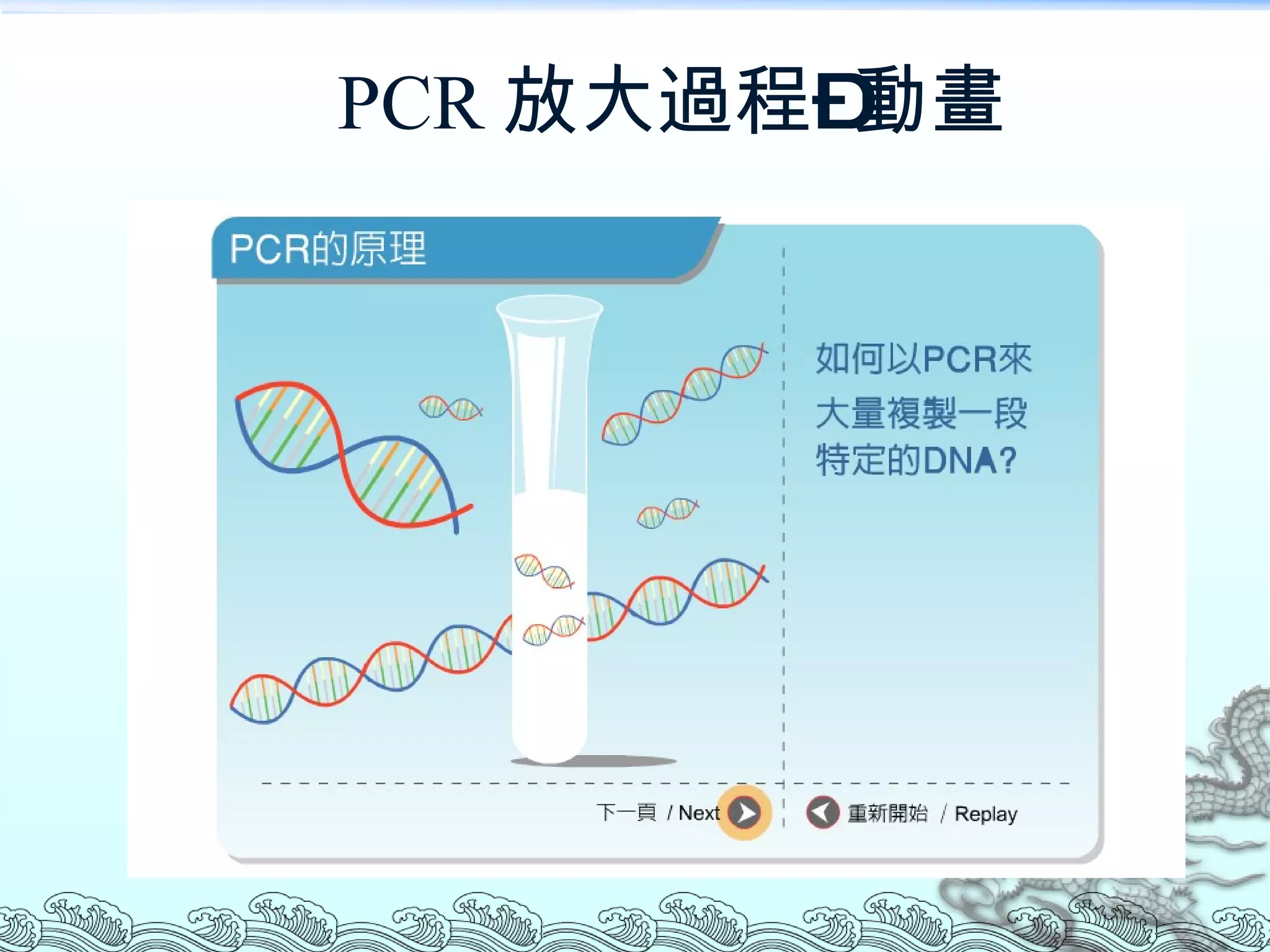 PCR 放大過程–動畫 