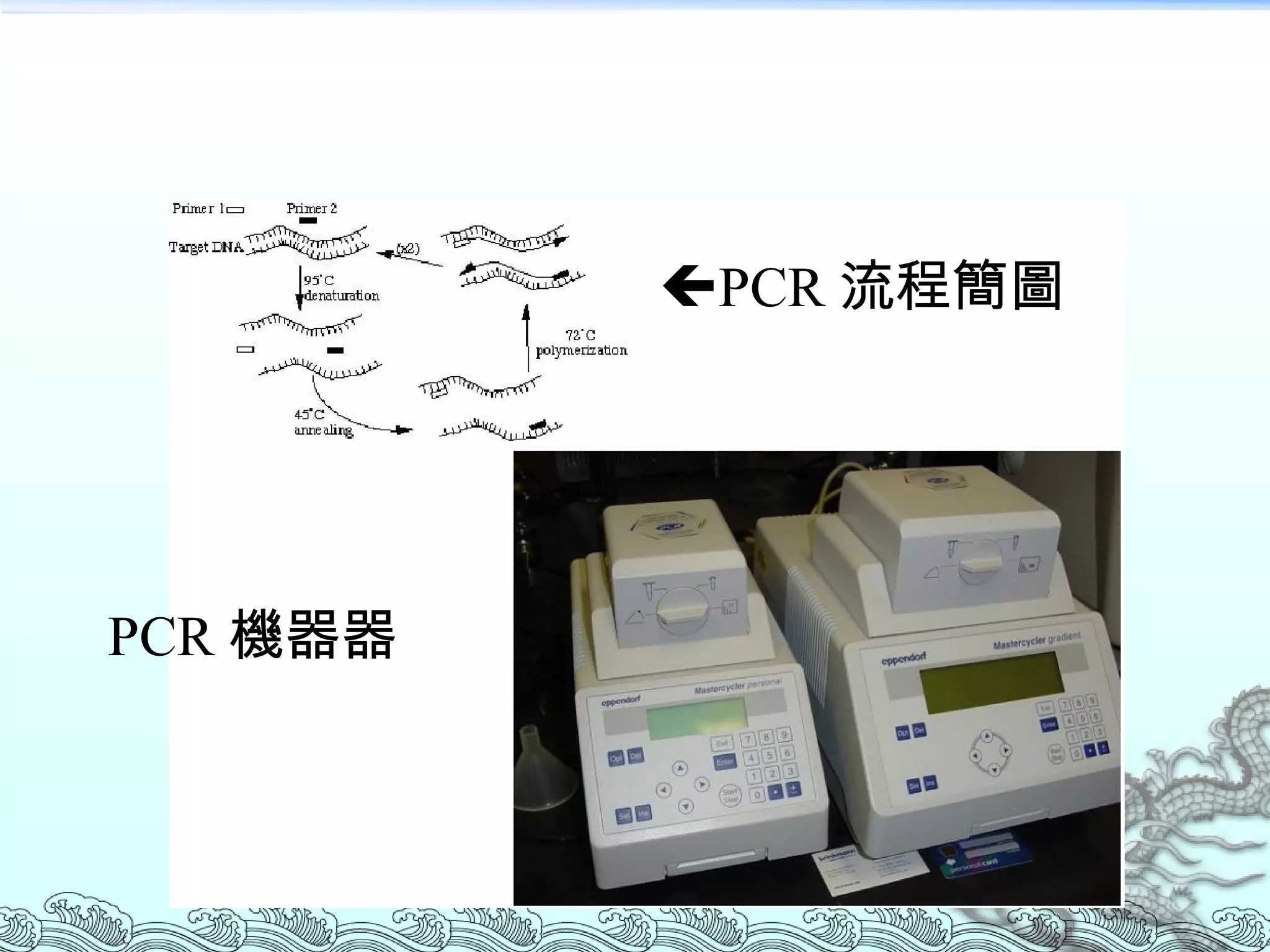  PCR 流程簡圖 PCR 機器  