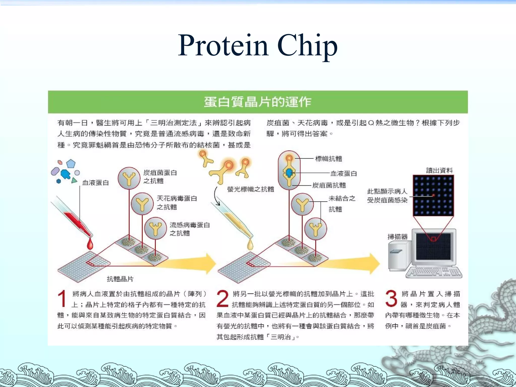 Protein Chip 