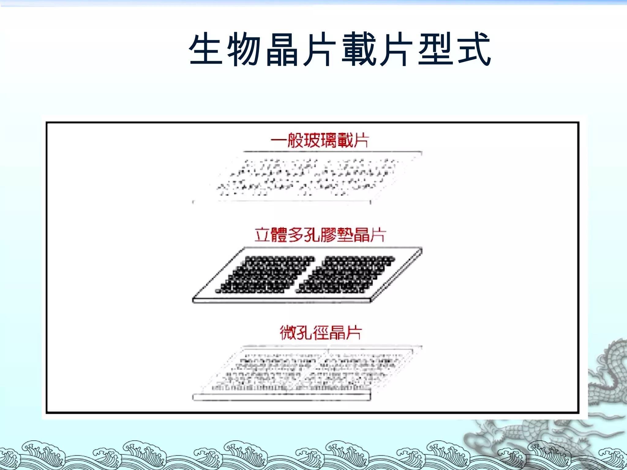 生物晶片載片型式 