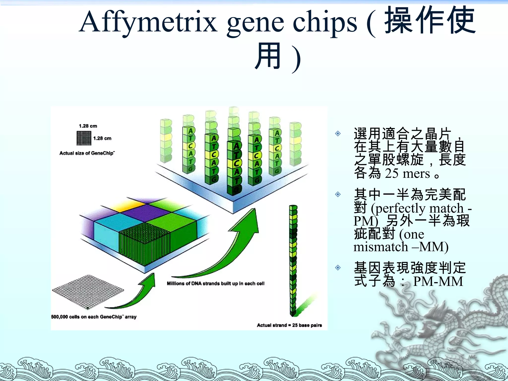 Affymetrix gene chips ( 操作使用 ) 選用適合之晶片，在其上有大量數目之單股螺旋，長度各為 25 mers 。 其中一半為完美配對 (perfectly match -PM)  另外一半為瑕疵配對 (one mismatch –MM) 基因表現強度判定式子為： PM-MM 
