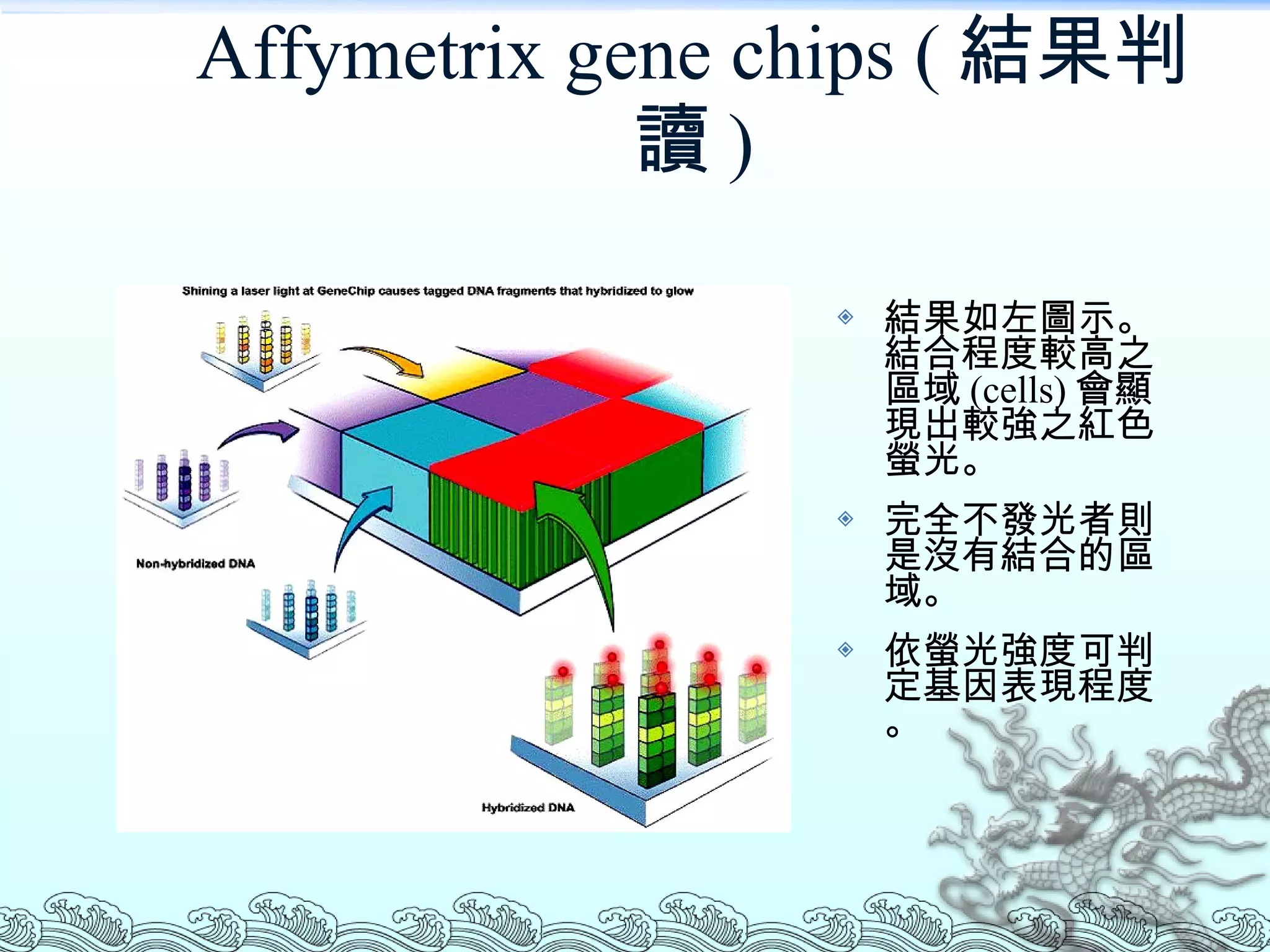 Affymetrix gene chips ( 結果判讀 ) 結果如左圖示。結合程度較高之區域 (cells) 會顯現出較強之紅色螢光。 完全不發光者則是沒有結合的區域。 依螢光強度可判定基因表現程度。 