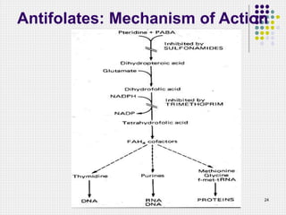introduction microbials.ppt