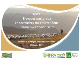 UMT
Elevages pastoraux
en territoires méditerranéens
Retour sur l’année 2018
Journée d’échanges avec les partenaires
07 février 2019
 
